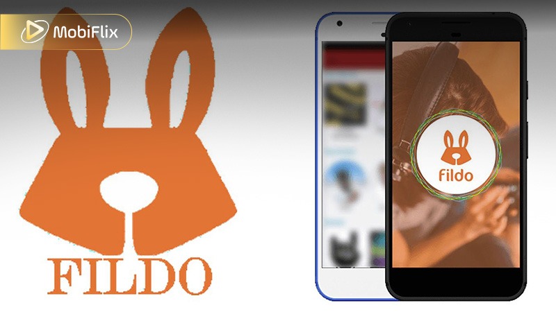 Fildo Music Library and Content Sources
