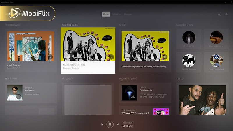 How to Install Fildo Music on iOS (Step-by-Step)