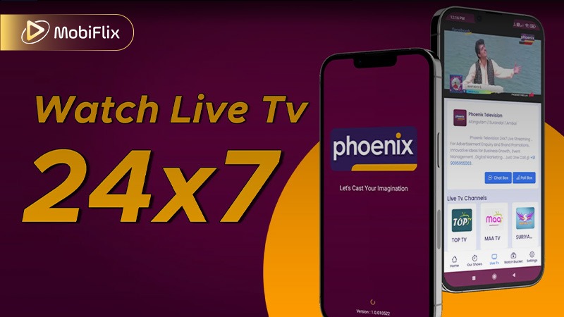 Phoenix TV App Interface Overview